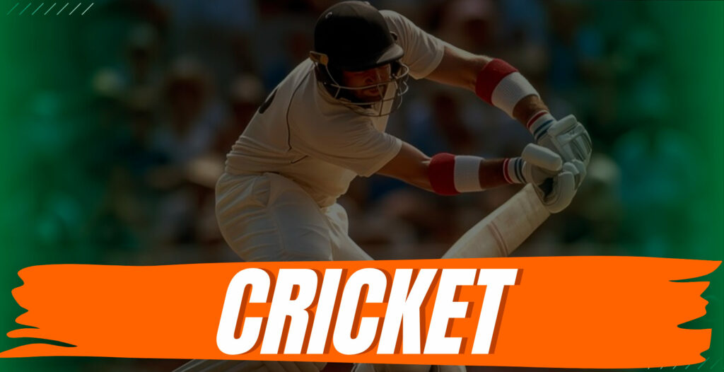 Which platforms offer cricket betting