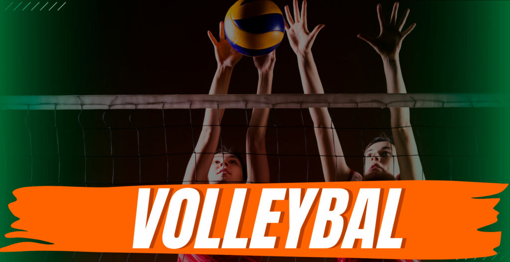 Which platforms offer volleyball betting